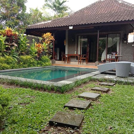 Dedik House Villa Ubud Kültér fotó