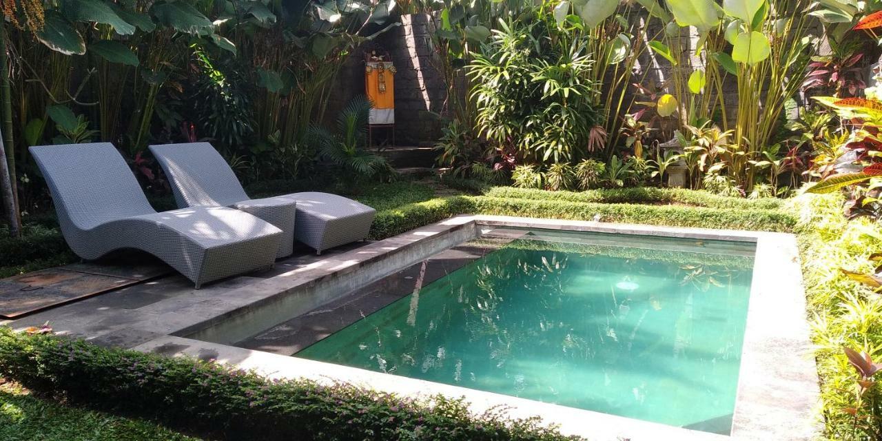 Dedik House Villa Ubud Kültér fotó