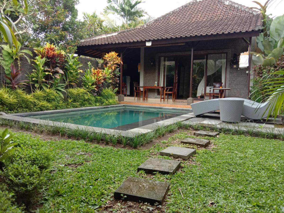 Dedik House Villa Ubud Kültér fotó