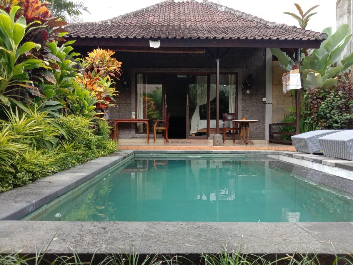 Dedik House Villa Ubud Kültér fotó